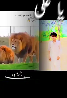 علی 🚩🚩🚩🚩 