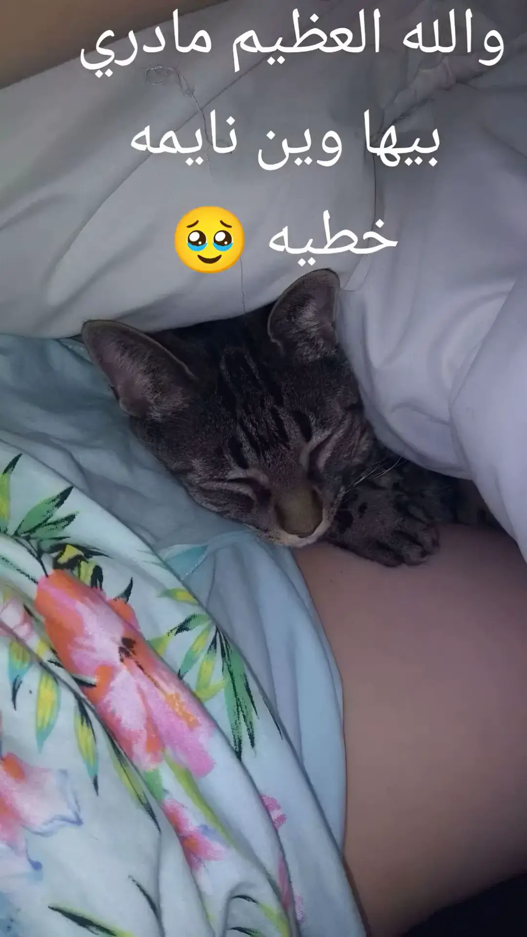 #انابنتضرلك_وانت_لازم_علي_تعود #شعب_الصيني_ماله_حل😂😂 