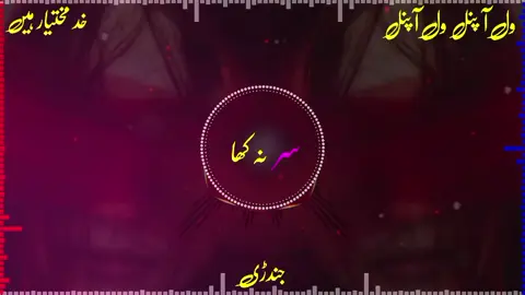 ول آ پنل ول آ پنل پچھے ول نہ ول # #virlvideo #sriky_song #video #foryou 