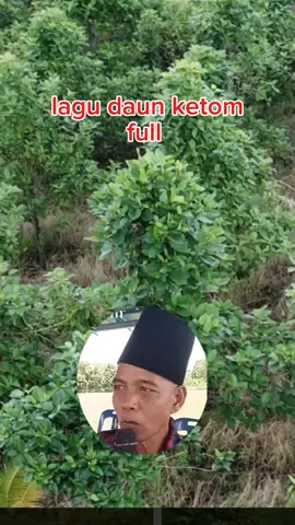lagu penuh daun ketom  #djed 
