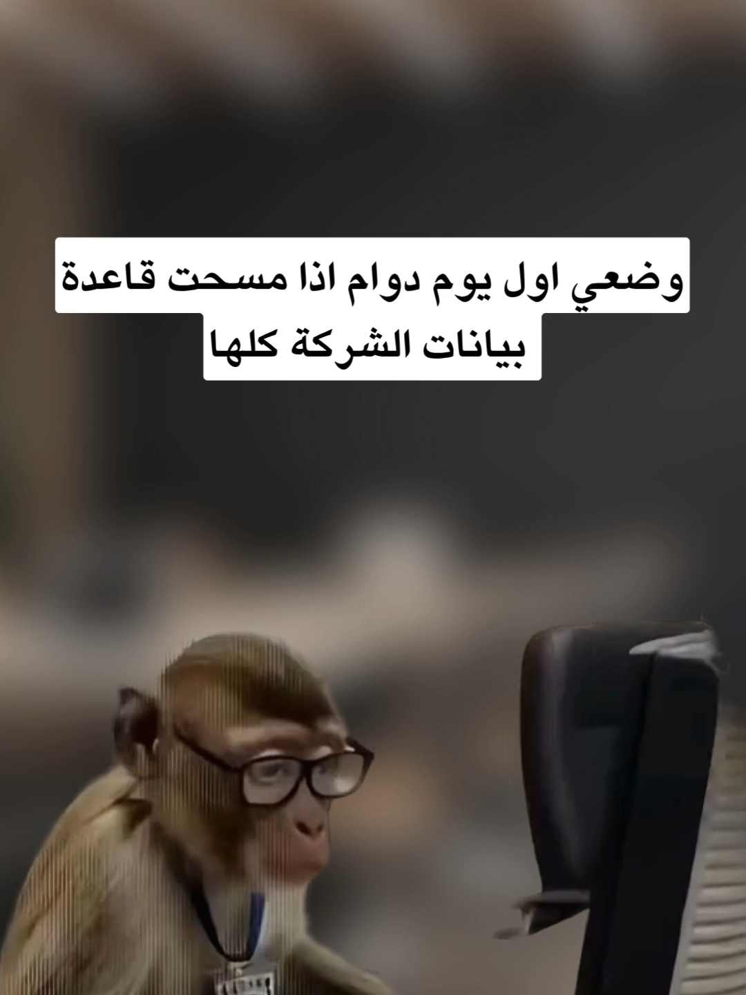 #الدوام #وظايف #اكسبلور #الوظايف #الشركات #رياكشنات #رياكشن