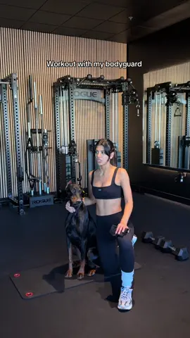 She said 🫡 #workoutroutine #workout #doberman #dobie #bodyguard 