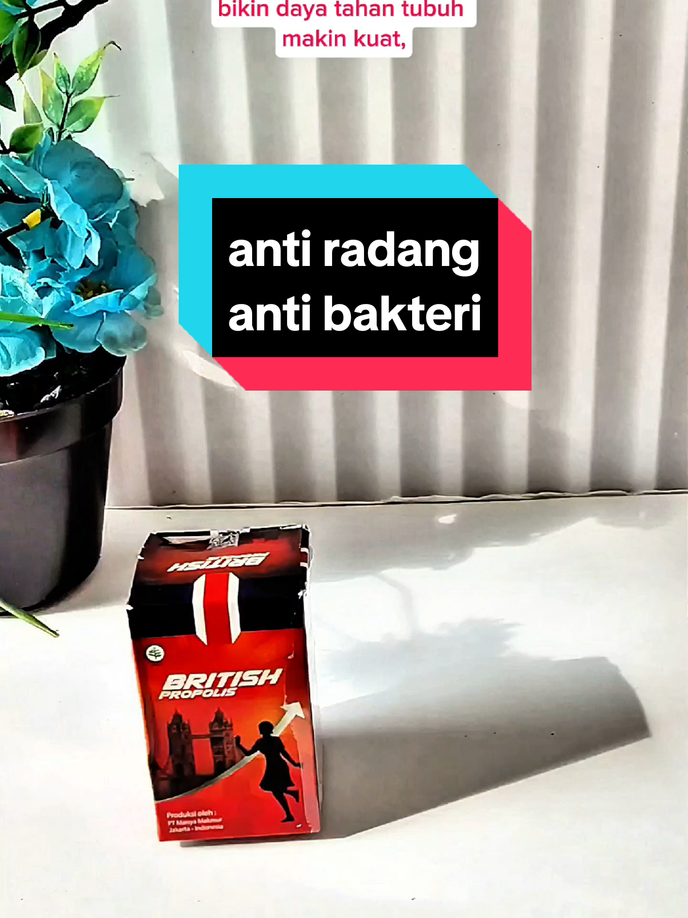 anti bakteri, anti radang dan anti inflamasi #britishpropolis #propolisasli #propolisterbaik #britispropolis #antiinflammatory #antibakteri 