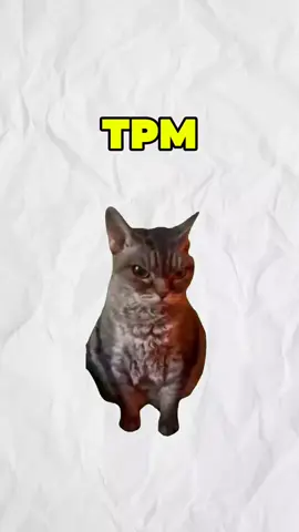tpm explicada por gatos