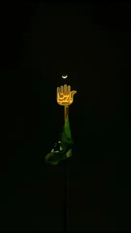 🚩🚩🚩🚩😢 #molaabbassع #ghaziabbasع #yaabbasع #alampak🚩 #hazratabbasع 