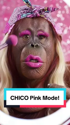 CHICO is in full pink mode today! Total fashion, total attitude, and totally hilarious — you can’t miss this one! @Belinda @Soy  Wendy  Guevara  #rubenzookeeper #myanimalkeeperlife #CHICOtheorangutan #aianimals #zoolife #pinkvibes #funnyanimals #aiadventures #orangutanstyle #trendingnow #wildanimals #zookeeperlife #fyp #viralvideo
