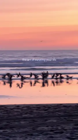 #creatorsearchinsights 