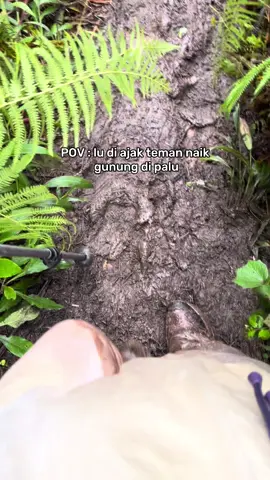 #CapCut 😷👈🏻 #gawalise2023mdpl #palusulteng 