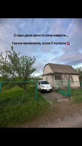 Дачні історії і то ще тільки початок  🏠 #дача