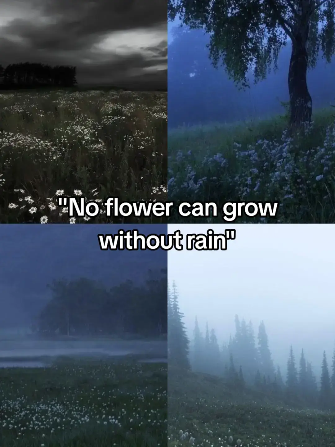 #gym #stayhard #diacipline #grind #SelfImprovement #keepgoing #dailymotivation