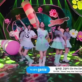 illit do the dance #illit #dothedance #stage #kpopfyp #kpopdancecover #kpopdance #kpopfypシ #KPop #kpopfancam 