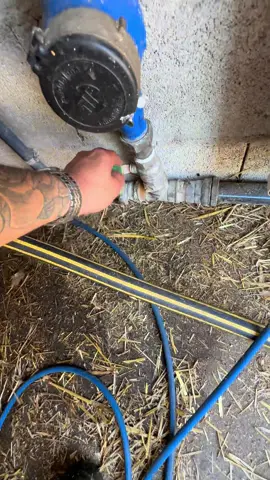 Ouvrez les vannes 💦 #pourtoi #fyp #nettoyage #satisfaisant #satysfying #CleanTok #pov #livestock #cleaning 