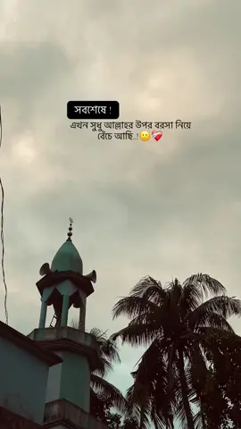 সবশেষে এখন সুধু আল্লাহর উপর বরসা নিয়ে বেঁচে আছি..! 🙂❤️‍🩹#foryoupage #tendigvideo #viraltiktok 