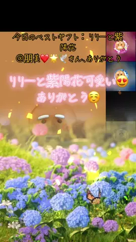 LIVEに素敵なギフトを送ってくれてありがとう！コンテンツを応援してくれることは、大きな励みになります。@朋美❤️🌟🕊️ #tiktoklive #livehighlights #livegift #lilyandhydrangea #リリーと紫陽花 #ありがとう