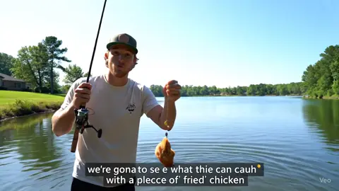 Let’s see what we can catch with a piece of fried chicken 🍗 #veo3 #Aieme #fishing #fyp #trending #viralvideo #funnyvideos 