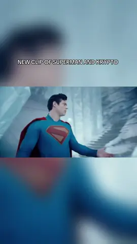 this duo is too cute i love it 😭 #superman #krypto #kryptothedog #jamesgunn #dcu #filmtok #fyp