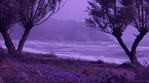. #💜 #relatable #real #foryoupage #embrace #silhouette #nightcore #nightvibes #dreamrave #landscape #prism #lilacs #pastelghost♡ #pmghxst #parati #fyp #xybca #pastelghost #darkbeach #iris 