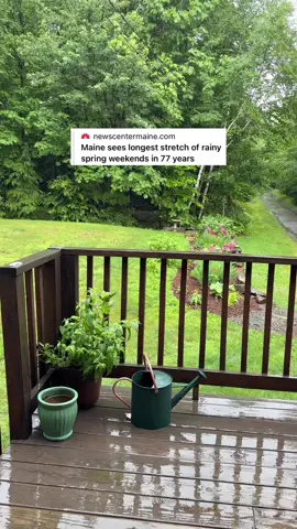 not to get you down, but….  #mainecheck #summerinmaine #mainetok #mainer #inthewoods 