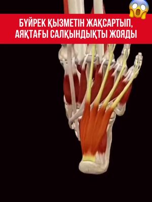  Толық ақпарат алу үшін ПОДРОБНЕЕ басыңыз. education for university