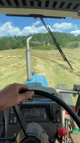 🌾🌾🌾🌾@Verena ❤️@dominik_b08 @Pulve @Lukas @Jannik_pulve 