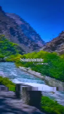 PᴀɴɢSʜɪʀ'جانࣿ 🦁😍. 
‌ 
‌ 
‌   
‌ .       . .         .         #afghanistan #fyp #varil #edit #forupage #foruyou #gemany #تاجیک_هزاره_ازبک_پشتون_ترکمن🇦🇫 