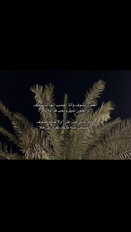 ‏واصبحت لبيه ماعاد تفرق عن هلا ..! #fyp #foryou #foryoupage #احـمـد👻 