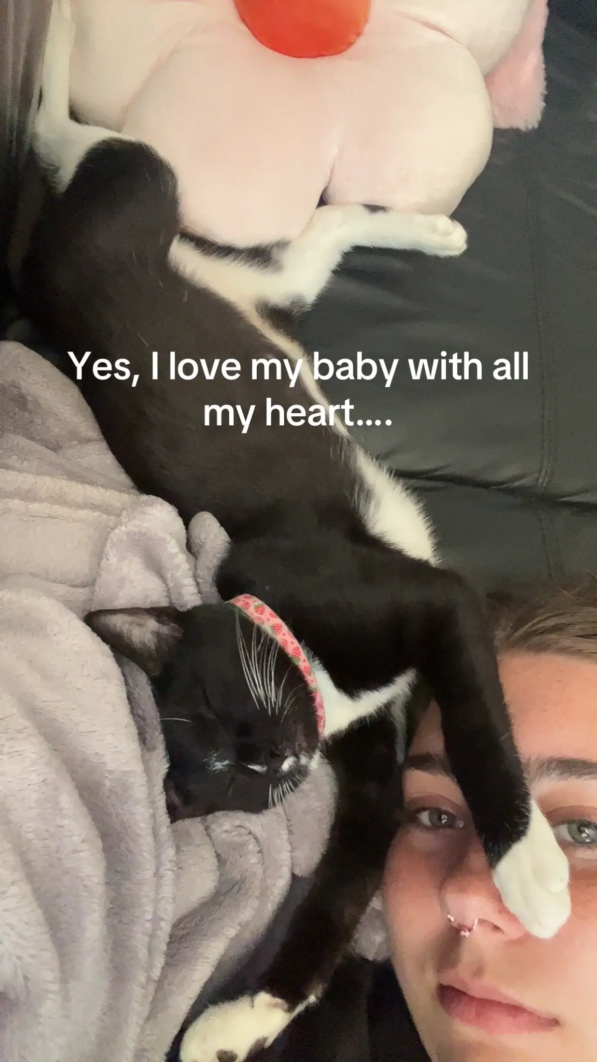 Thor was my childhood cat that would only ever let me touch him for the longest. I miss him everyday since he’s been gone.#foryoupage #fypシ #kitty #catsoftiktok 