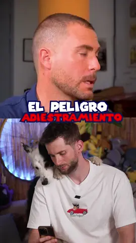 Muy poco acertado.. He escuchado el podcast entero y hay tantos puntos donde siento que se intenta decir una barbaridad para destacar o  hacer extractos virales, el problema de eso es que luego gente pueden aplicar estos consejos o sentirse mal por mimar a su perro, haciendo sentirles culpables por algunos problemas de comportamiento que pueden tener. Ya había visto otro video del mismo chico viral que decía algo parecido, y no me parece correcto la verdad. Mucho cuidado con los adiestradores que siempre hacen metáforas hablando de los perros con otras cosas, niños, lobos, idiomas etc.. Porque la enseñanza es un arte y si usas una equivocada el mensaje queda erróneo.