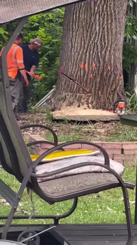 When you hire your cousin ‘cause he said he watched a YouTube video on tree cutting… 💀🌳🏚️ One bad cut and now the tree owns the house.” #TreeFail #DemolitionByAccident #ShouldaCalledAPro #Homewrecked #EpicFail
