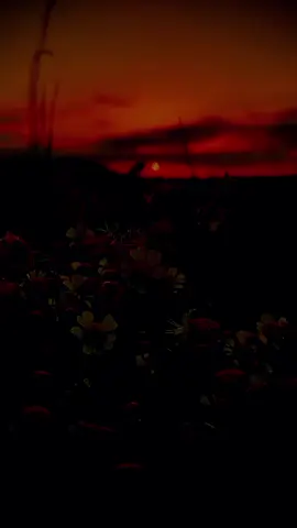 #iloveyou #lovemotivation #Relationship #viral_video #foryoupagе 