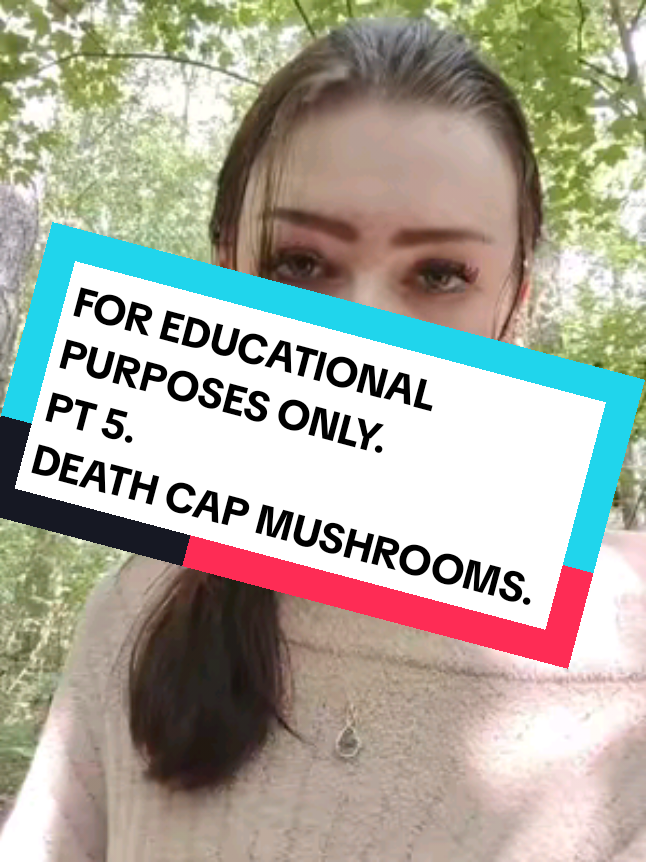 Replying to @morgue.mvpxd Stay safe everybody🩶 #funfacts #unsettling #facts #fyp #chaosfacts 