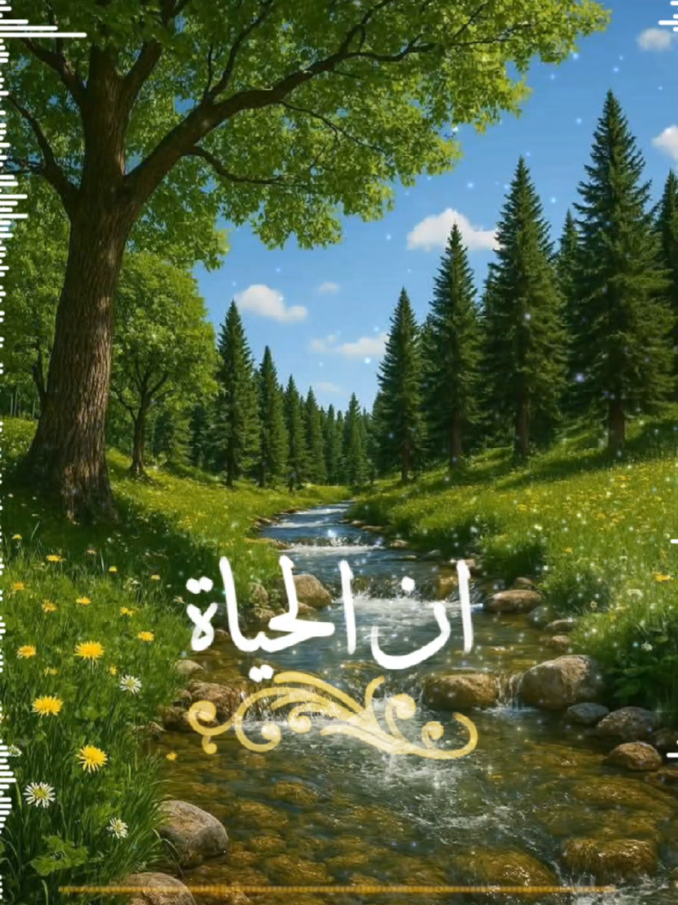 #إن_الحياة_قليلة_لذاتها #أناشيد_بدون_موسيقى #نشيد #بدون_موسيقى #أنشودة #اكسبلورexplore 