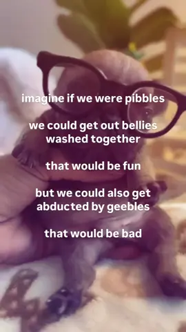 ts real twin #pibbles #pibble #pibbygabe 