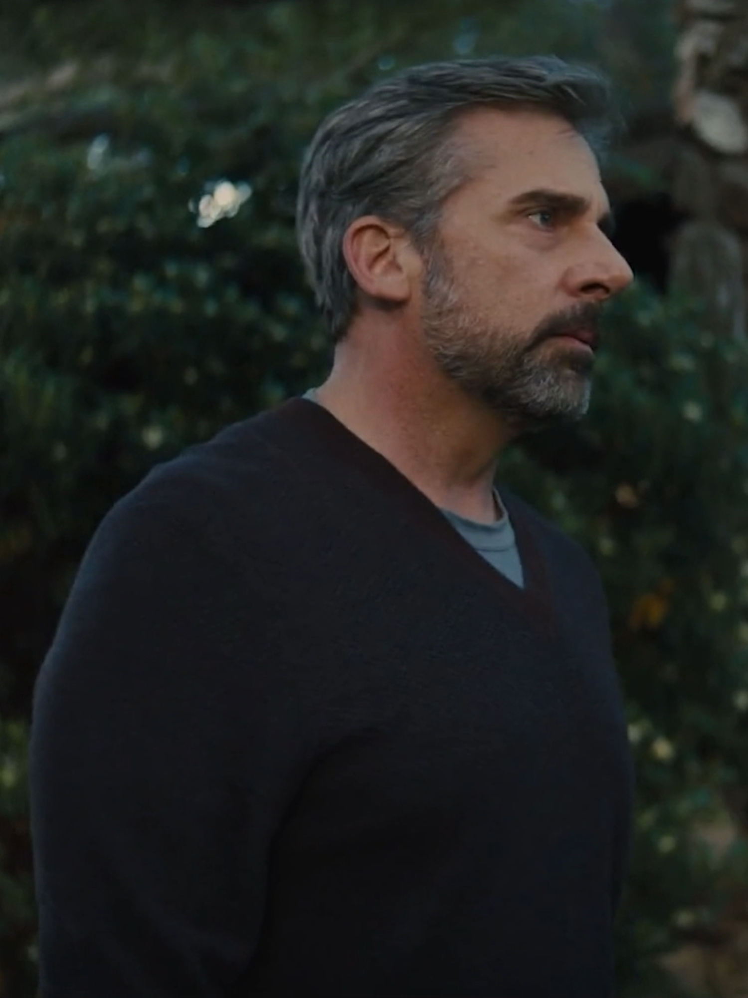 fog as a bullet #beautifulboy #timotheechalamet #nicsheff #davidsheff  if you enjoy beautiful boy, and you havent already, id highly recommend reading the essay 