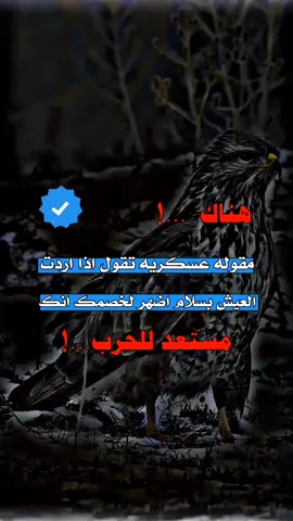 #اكسبلورexplore #اقتباسات_عبارات_خواطر #عبارات_جميلة_وقويه😉🖤 #تصميم_فيديوهات 