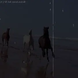 Çox qəmili musiqilər 🤍🎶