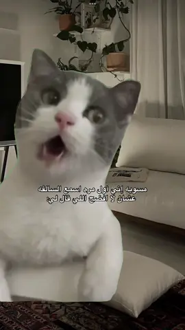 #Meme #MemeCut #pov #fypppppppppppppp #مالي_خلق_احط_هاشتاقات #fyp #ترند 