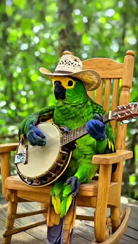 Cotton Eye Joe #country #banjo #redneck #countrymusic #guitar #singing 