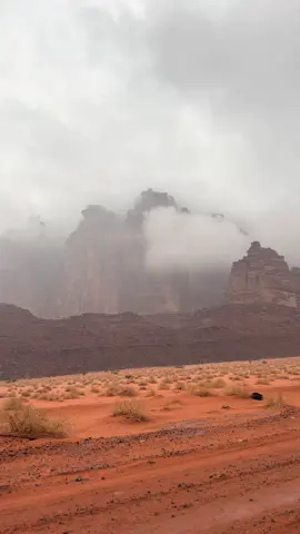 نبرد عليكم شوي 🌷#اكسبلورexplore #الديسه_تبوك_ضباء 