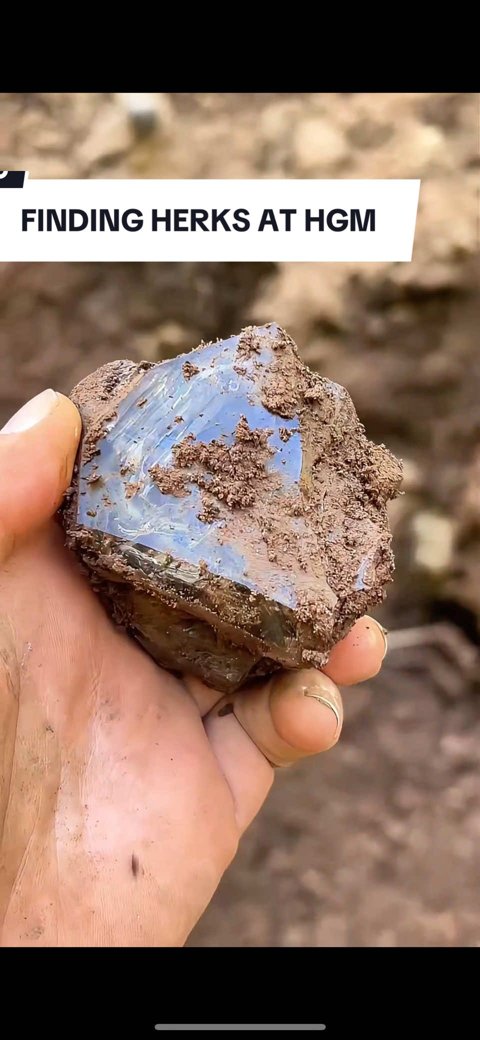 Pulling out Herkimer Diamond Quartz right from the ground. We are all the first to see these crystals in 450 Million years. Found at Hidden Gem Mine in Herkimer New York #herkimerdiamond #herkimerdiamonds #digging #mining #hiddengemmine 