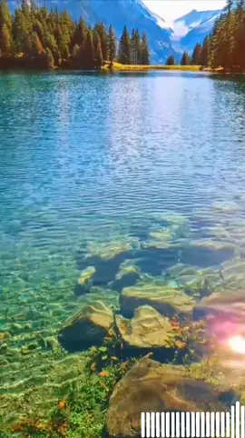 Necesito De Ti - Stanislao Marino  #musicacristiana #alabanzas_cristianas #jovenescristianos #adoracióncristiana #necesito #de #ti 