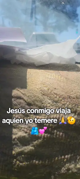 #videoviral #flypシ #parati  viajando alos ángeles California 