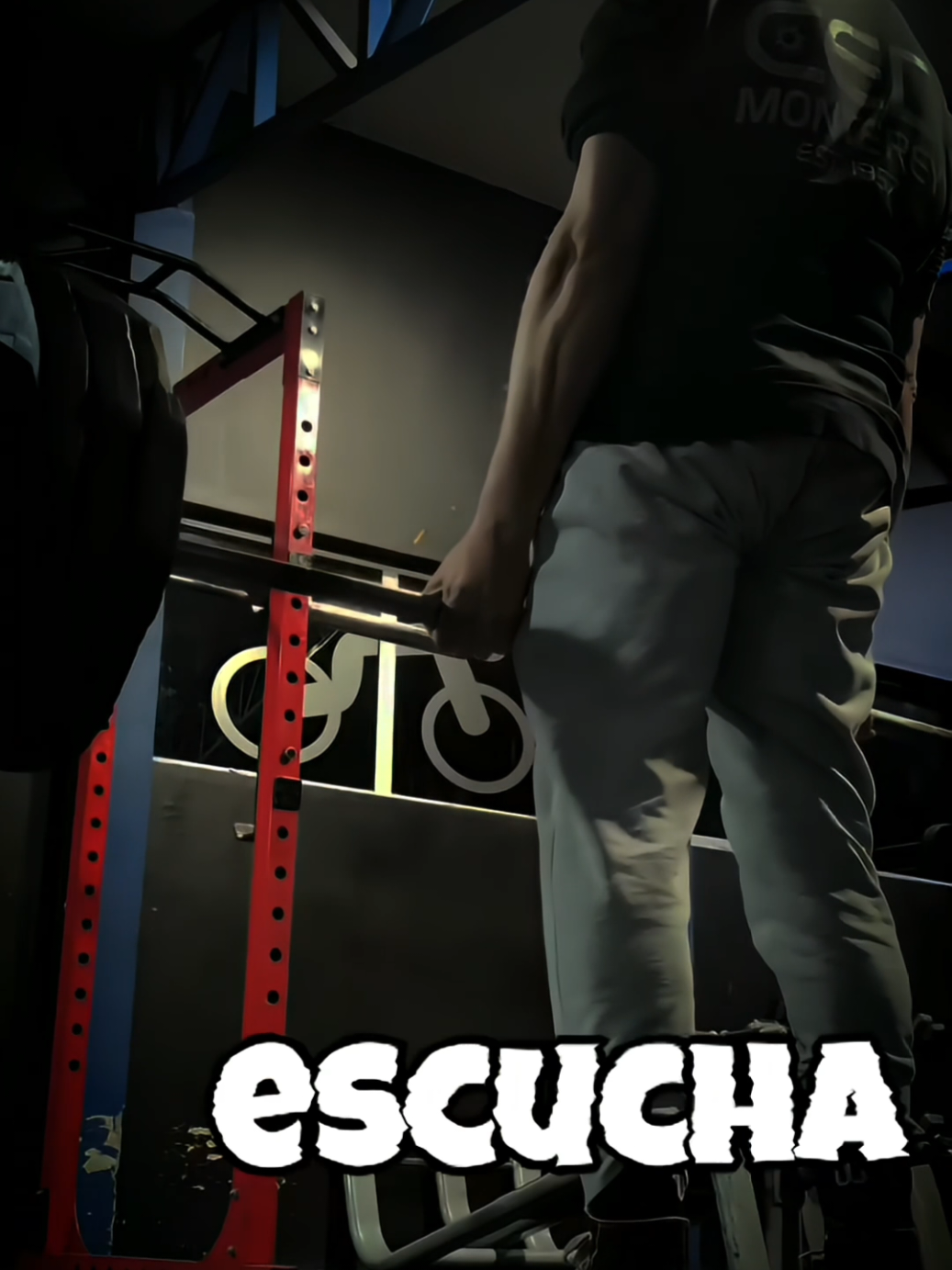 mi resumen de dos semanas de pura motivación 👌💪 #fypシ゚ #animemotivacion #motivaciongym 