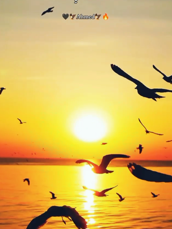 حايرة والشوق بين عيونك_أحمدالسوكني#🖤🦅ahmed🦅🔥 