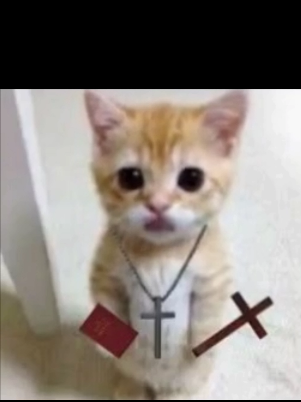 De los mejores versículos. #biblia #jesuslovesyou #Diostecuida #Diosteama #Isaias #cristo #pazmental #jesusteama #Dios #palabradeDios #jehová #serpiente #ia #gato #fyp #cruz