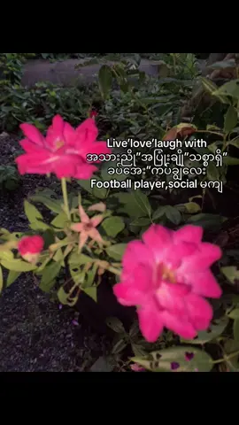 #စာသားcrd #fyppppppppppppppppppppppp #tiktok #ဒီချိန်တင်ရင်viwerမတတ်မှန်းသိတယ်🙂 #ဆယ်လီမှအသဲပေးတာလား😔😑 