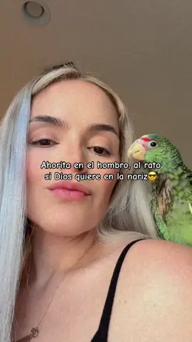 #purocontenido #puracuraconlaspleves🤣😂🤣😂🤣 #foryoupage #video #viral #tiktok #pericos 