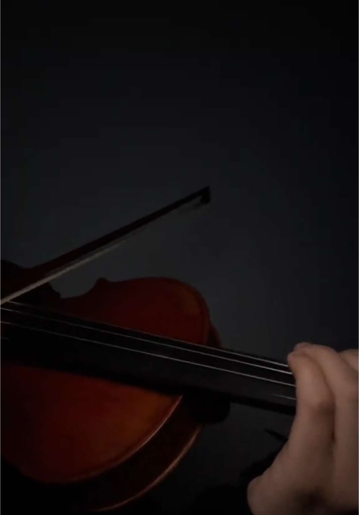 Arabian Nights ✨ #violin #fyp #violincover #musician #arabiannights #musiciansoftiktok 