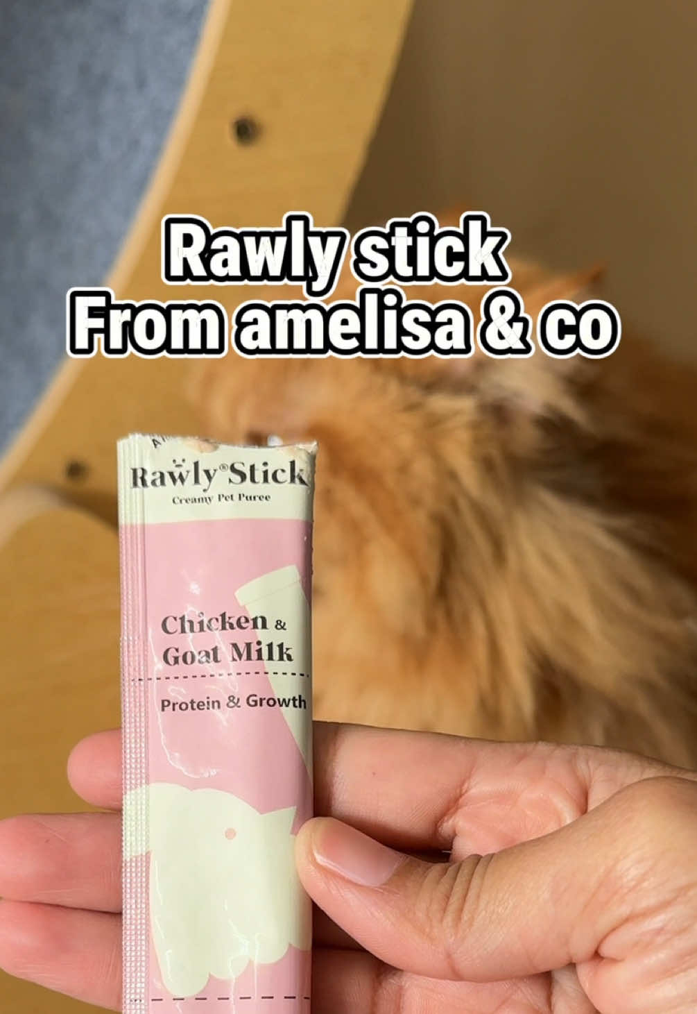Bestnya bila kucing suka makan benda kita beli! Kucing saya memilih makan tapi Rawly stick ni betul2 suka pulak! Ada 4 flavour! Beli la untuk kucing korang! Tengok berebut tak! #cats #kenzo #kucing #cat  #majibu #buma #kenzomajibu #kenjibuma #funnycat #pets #rawlystick #treatskucing #treatsvitamin #amelisaandco #makanankucing 
