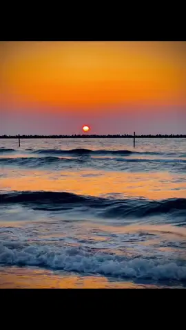 # كانك بتحكى عنى شيبه والله تسلم  👌🤞 #تطبيقات_ايفون #الشعب_الصيني_ماله_حل😂😂 #مصمم_فيديوهات🎬🎵 #تطبيقات_ #مشكلة_التصنيف_تيم_مشكلة_التصنيف #مشكلة_التصنيف_تيم_مشكلة_التصنيف #foryou #creatorsearchinsights2025 #creatorsearchinsights #تطبيقات_تحتاجها_في_هاتفك 